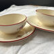 Duo Théière & Sucrier Salins France - Décor Floral Vintage - + 2 tasse