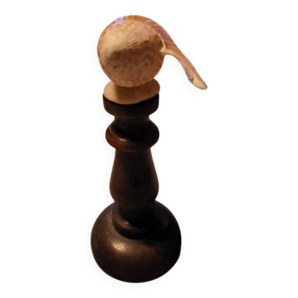 Marine shell