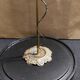 Cabinet of Curiosities globe 19th century flying lizard draco fimbriatus
