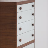Decorative cabinet in wenge wood designed in the 1970s