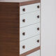 Decorative cabinet in wenge wood designed in the 1970s