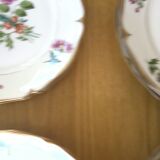 Flat plates lourioux foecy