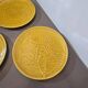 6 assiettes Sarreguemines nénuphar