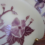 Two Vianne glassware wall light