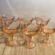 6 Rosaline champagne glasses