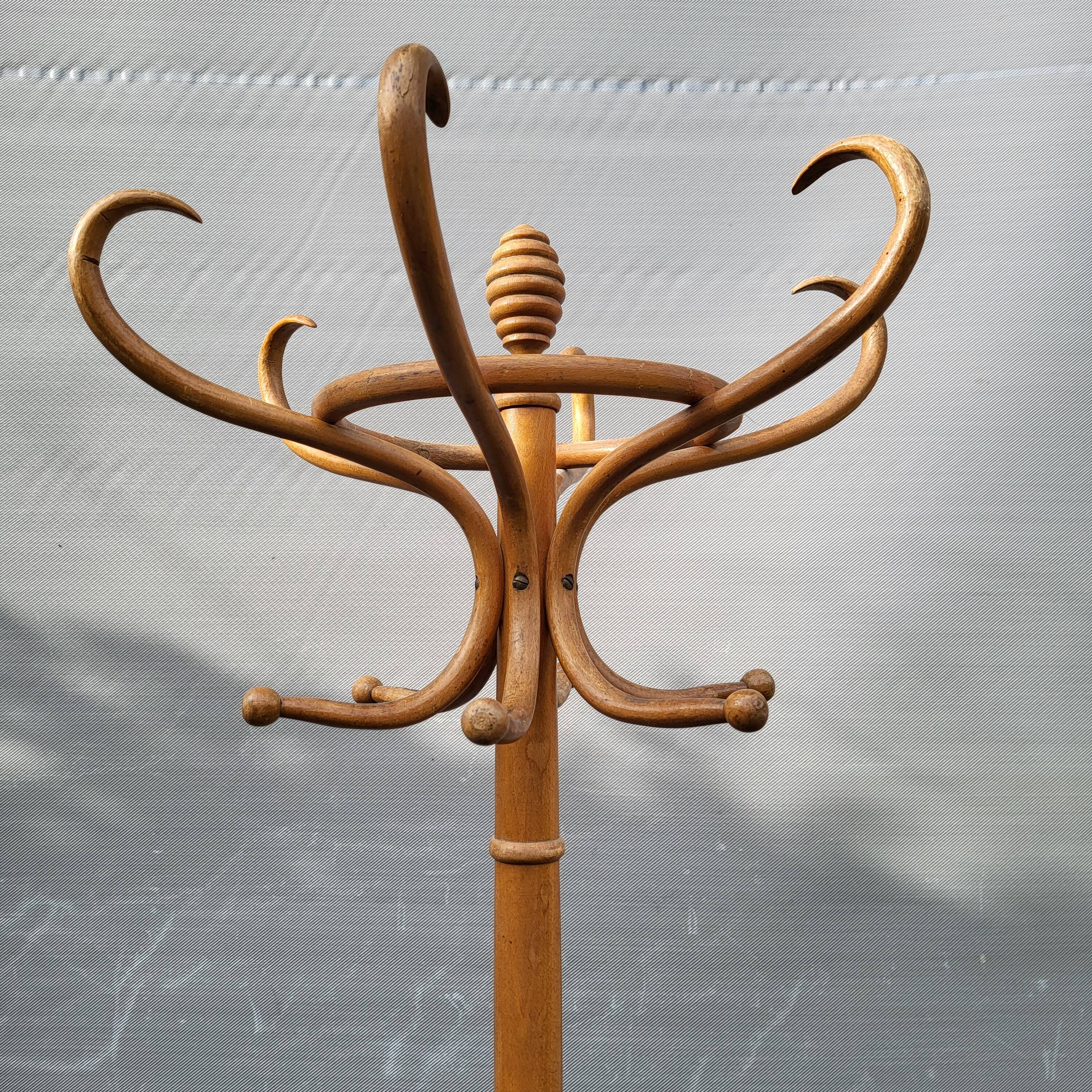 Parrot curved wood coat rack