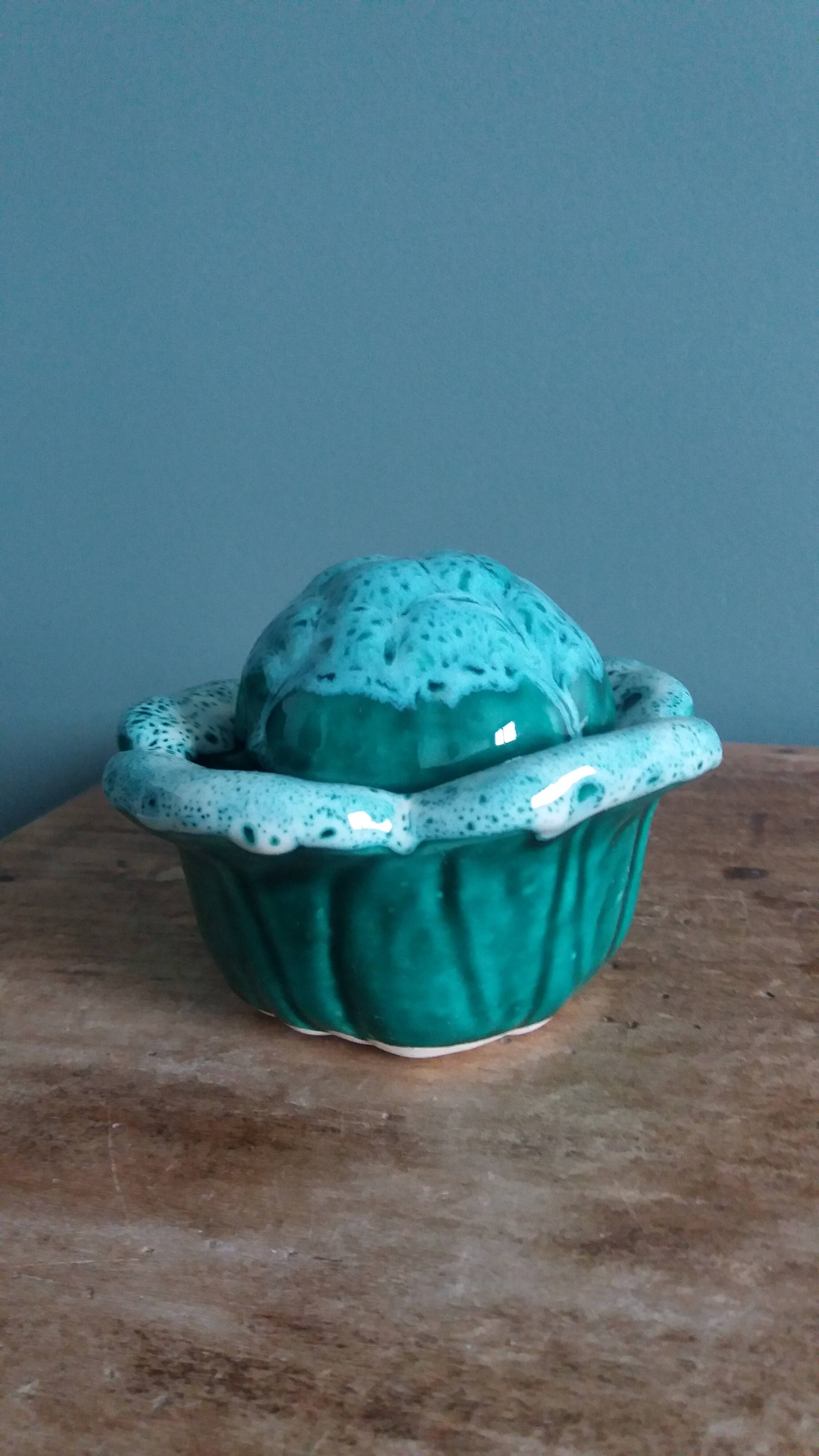 Cabbage mustard pot in slip