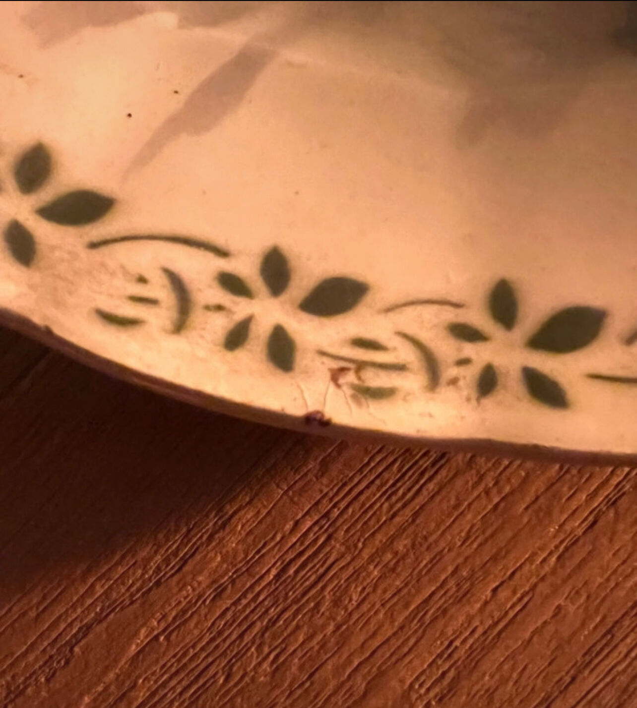 Old plate Choisy Le Roi , Terre de Fer