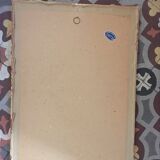 Dreaded botanical plank "Rosa Indica fragans"