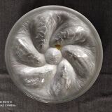 Set of 6 Arcoroc vintage oyster plates excellent condition