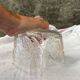Cloche en verre