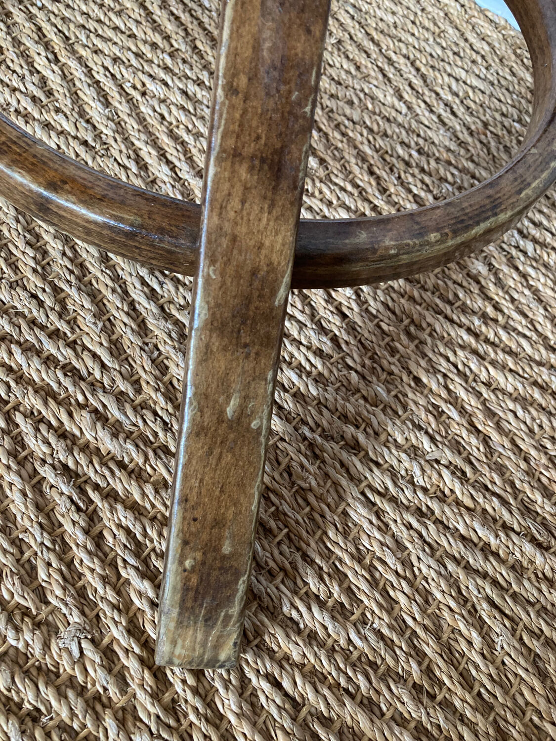 Baumann parrot coat rack