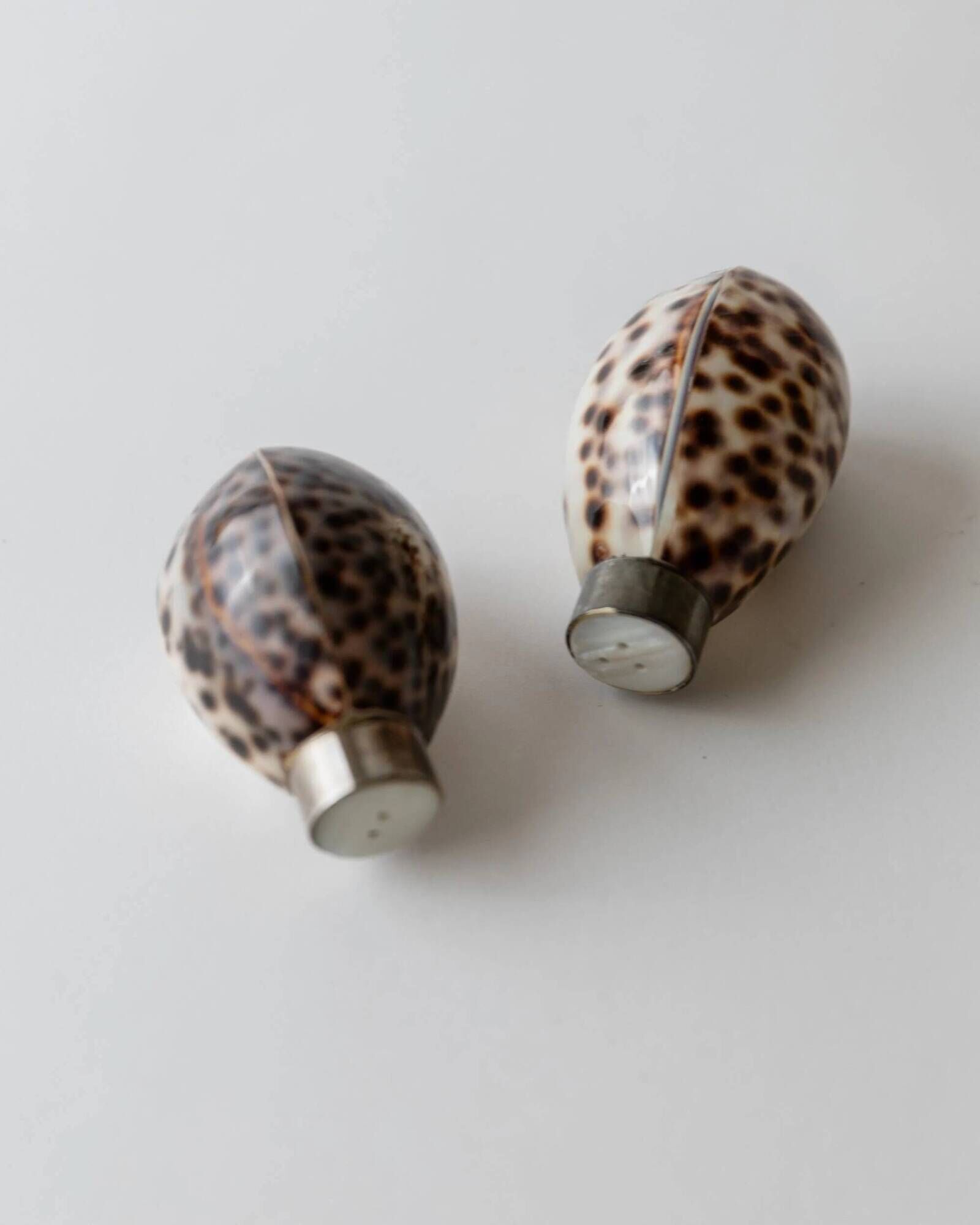 Vintage salt and pepper shaker set from the 1980s, natural shell design.