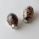 Vintage salt and pepper shaker set from the 1980s, natural shell design.