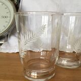 Set of 6 glasses with white leaf decor and gold rim