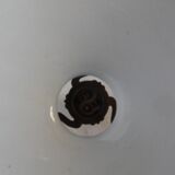 blue serrated opaline