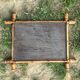 Bamboo Mirror 1920  47x58cm