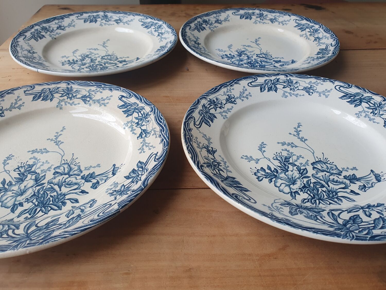 Longwy Azalea plates