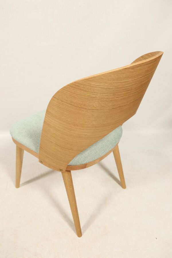 Chaises de salle à manger en chêne naturel, lot de 2/4/6/8, pour salle à manger, restaurants (HoReCa), bureau