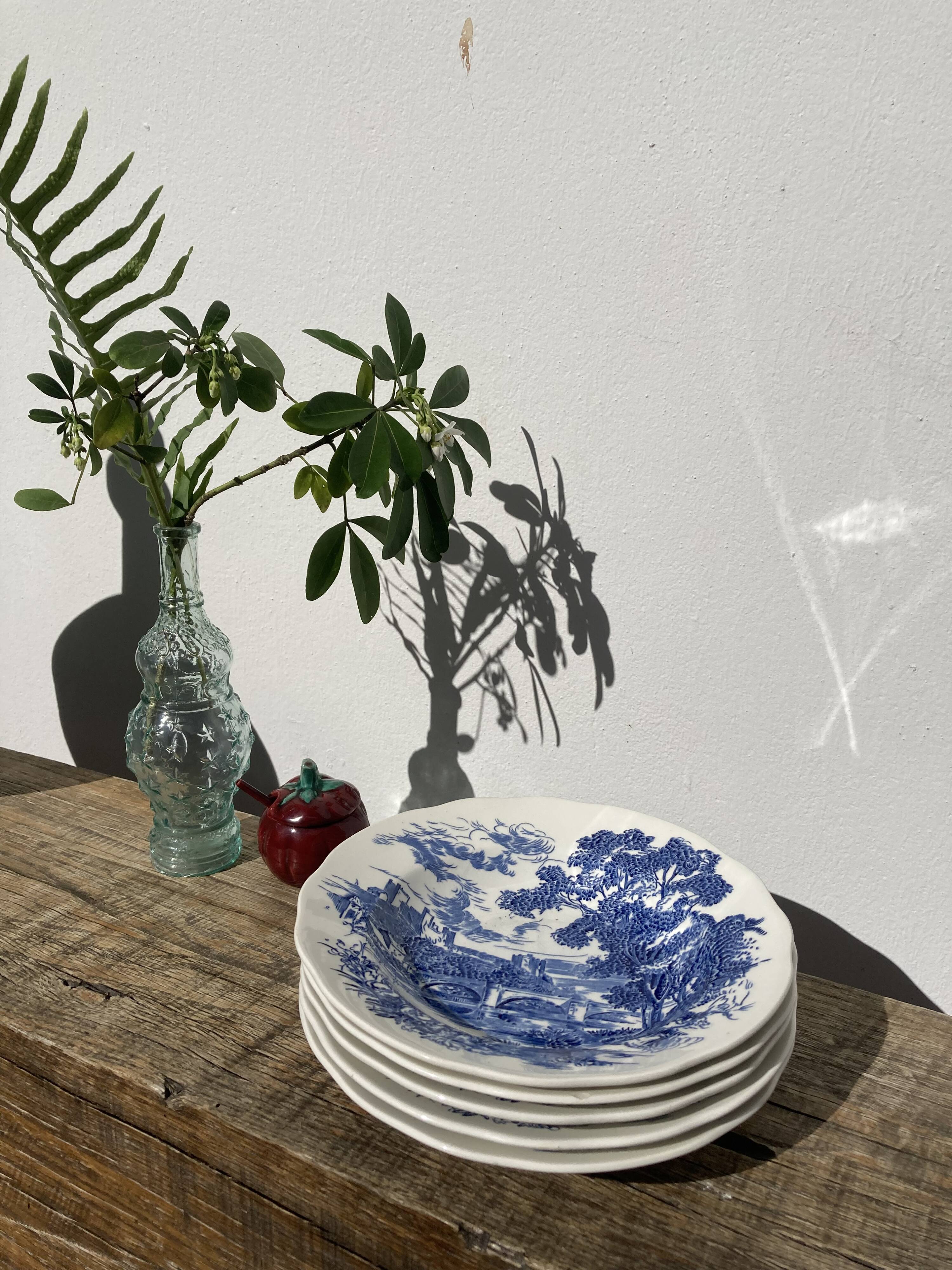 5 hollow plates / earthenware soup Gien Enoch Wedgwood style blue iron earth - vintage model