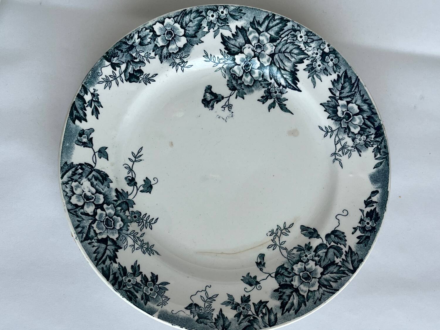 5 assiettes en terre de fer de Saint Amand