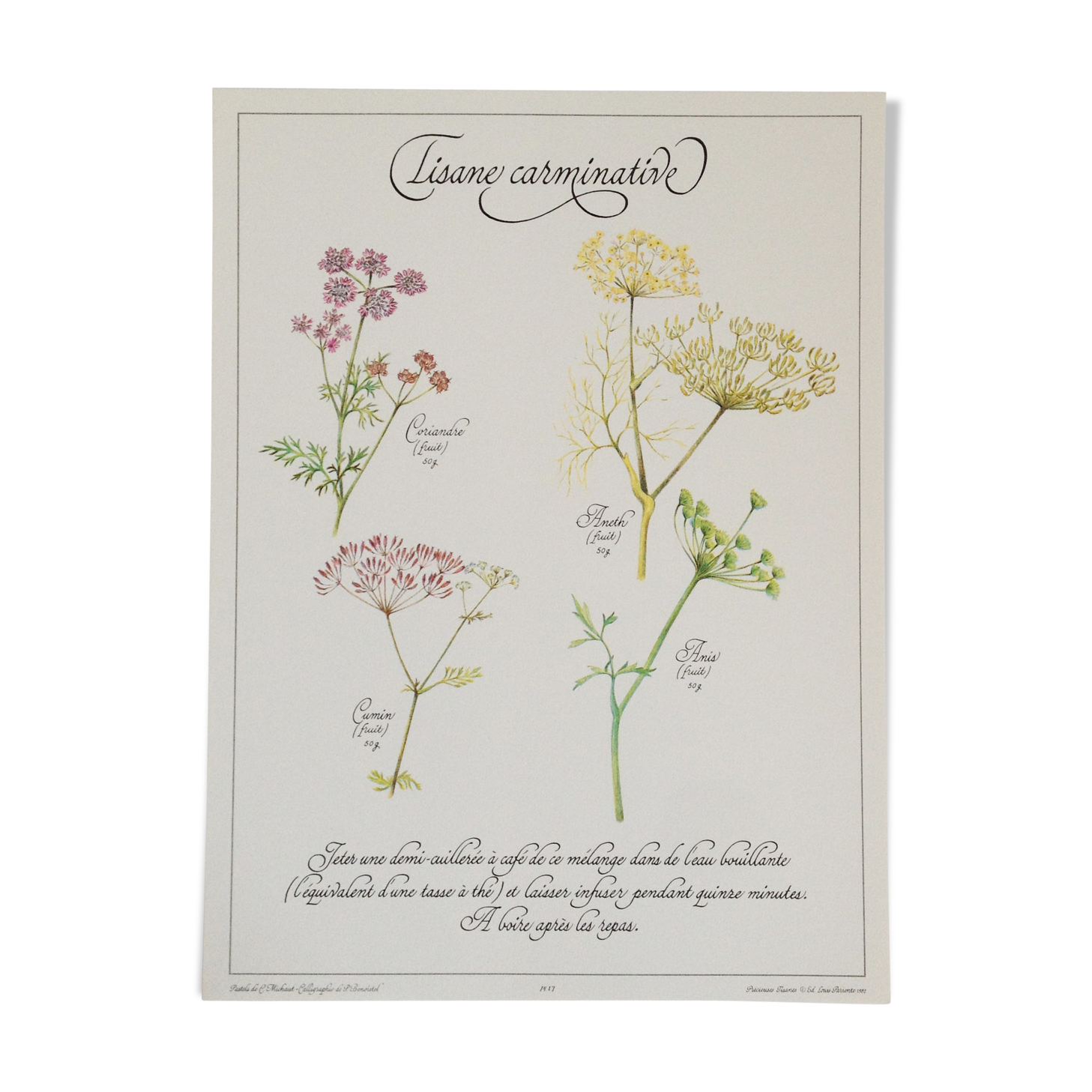 Botanical poster is a tisane