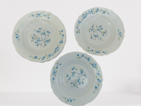 Arcopal hollow plates blue flowers model Veronica