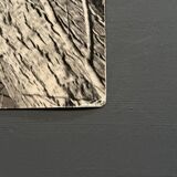 Black and white photo entitled Boules de Guy by Robert Laporte 20th century