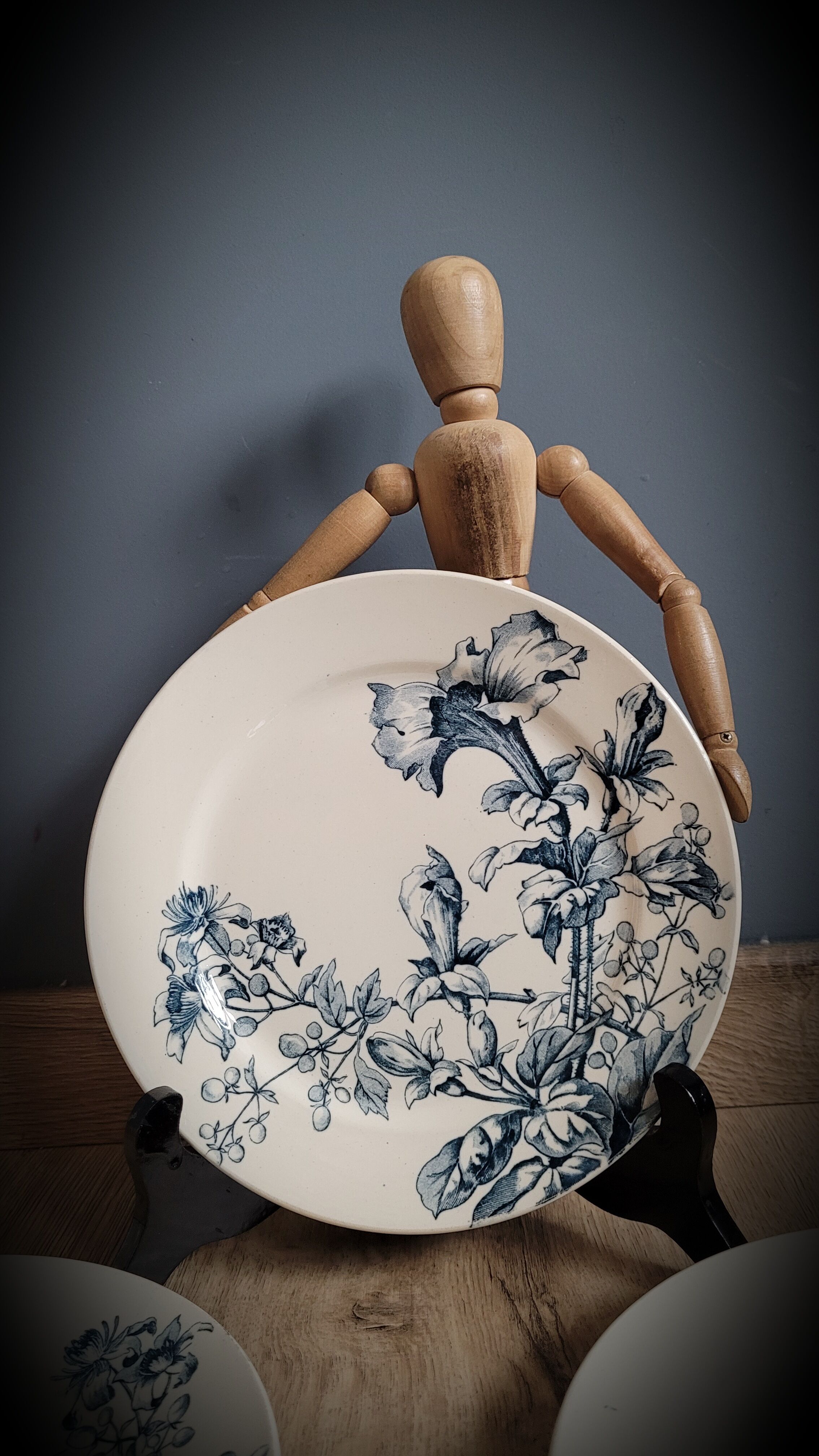 6 plates petunia bfk