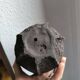 Duo sculpture art design egg planet ceramic black stoneware chamotte signé