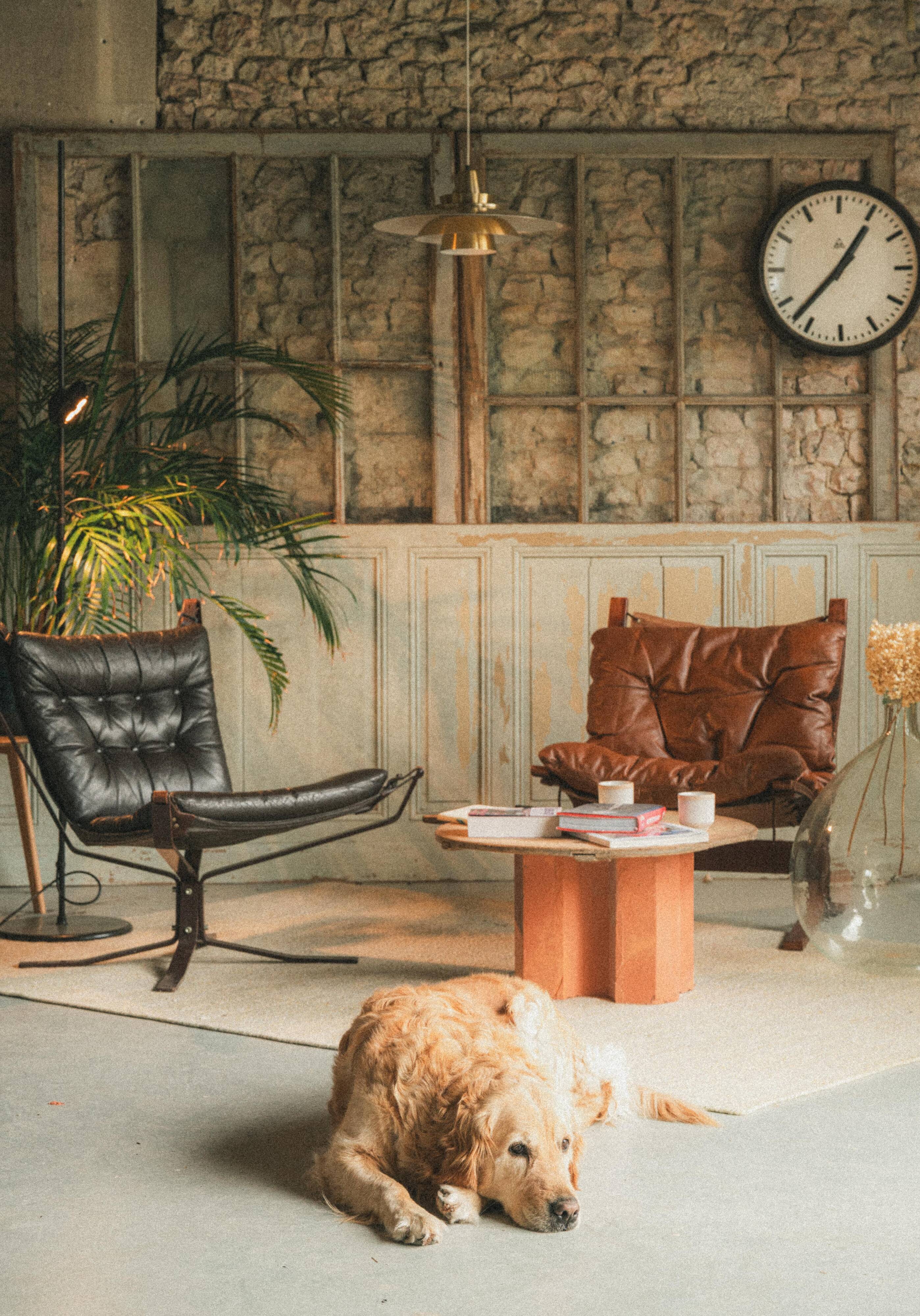 "Falcon" armchair by Sigurd Ressell