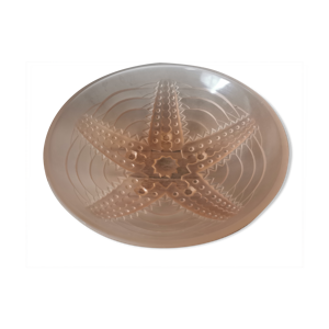 Coupe en verre étoile de mer
