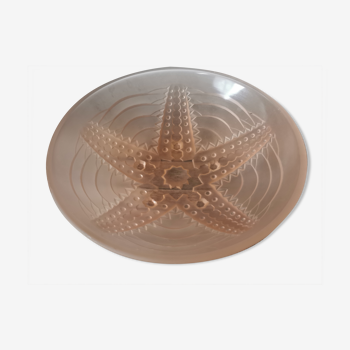 Starfish glass cup