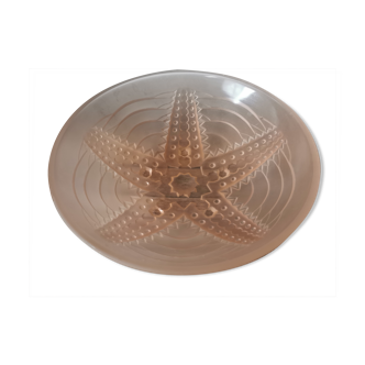 Starfish glass cup