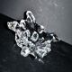 1960 design empty pocket coupe in free-form moulded crystal by Daum