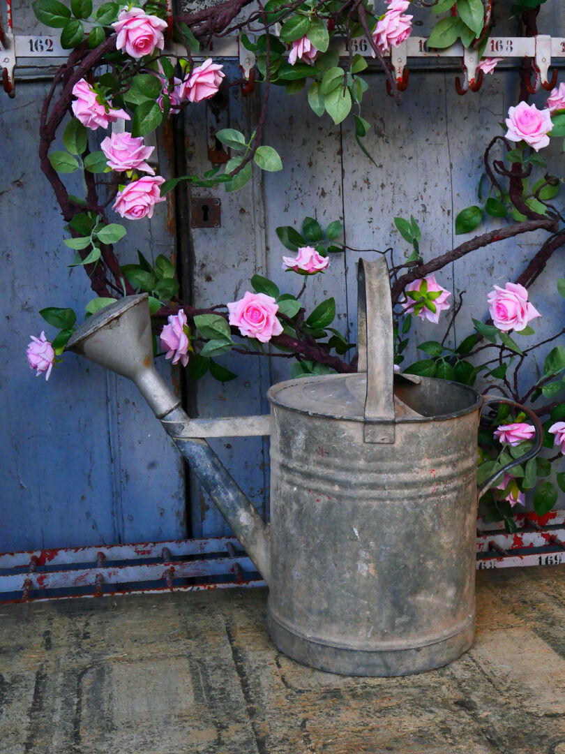 Zinc watering can
