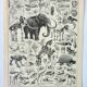 Old engraving 1898, Paleontology 2, prehistory • Lithograph, Original plate