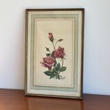 Flower frame