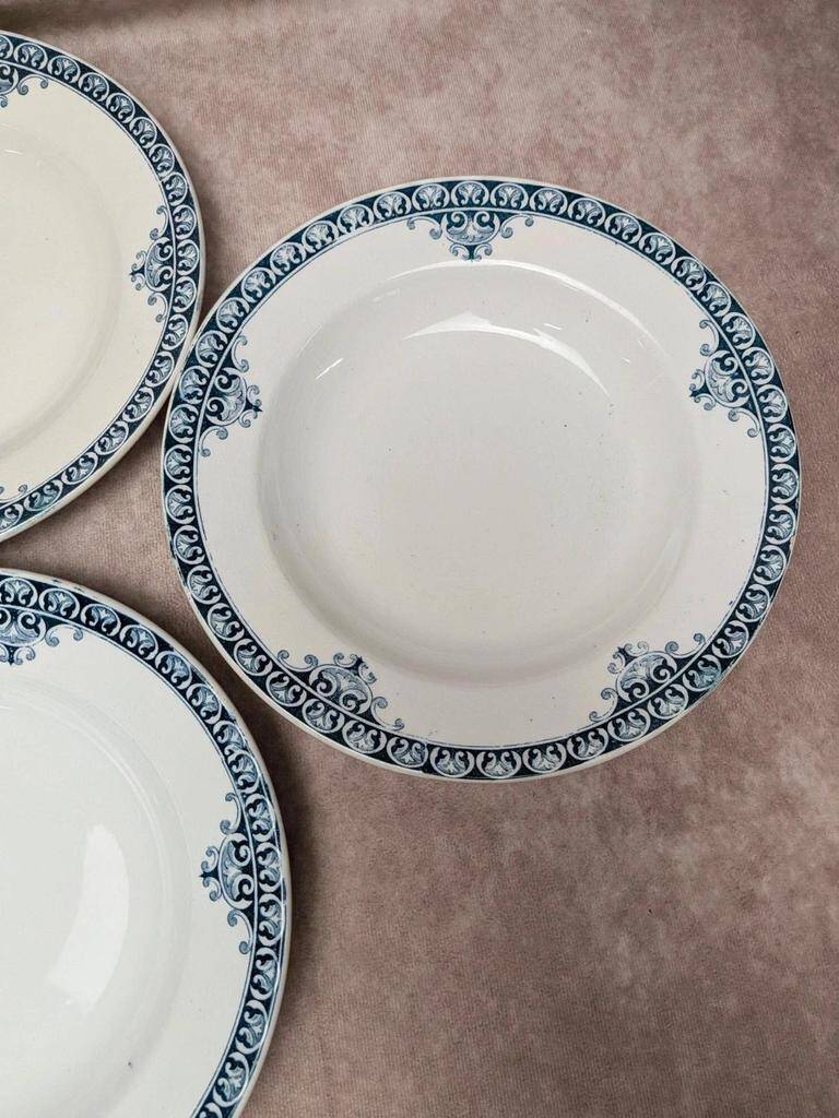 Set of 9 deep plates Terre de Fer St Amand model Andrinople
