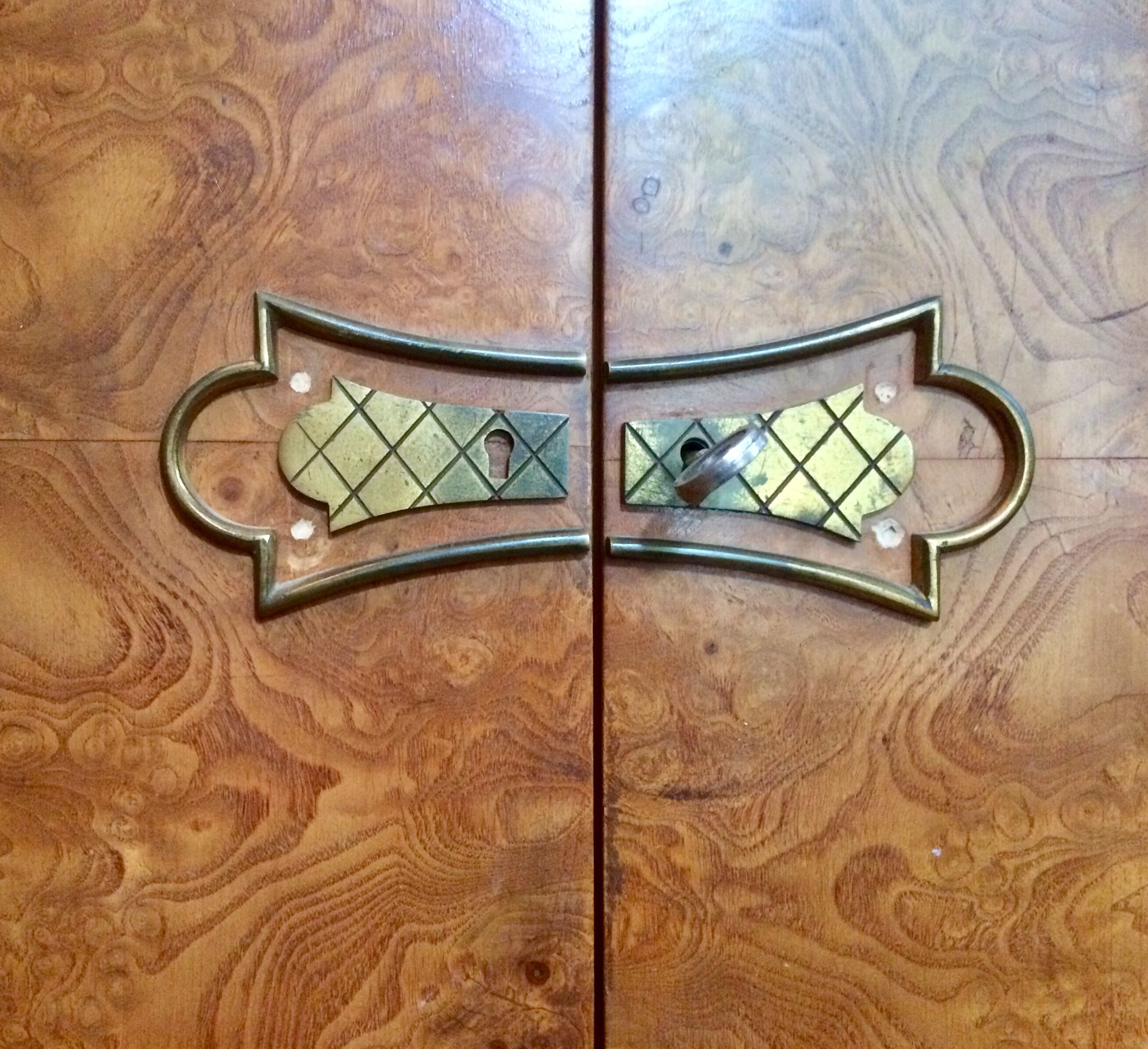 Elm magnifying glass veneer