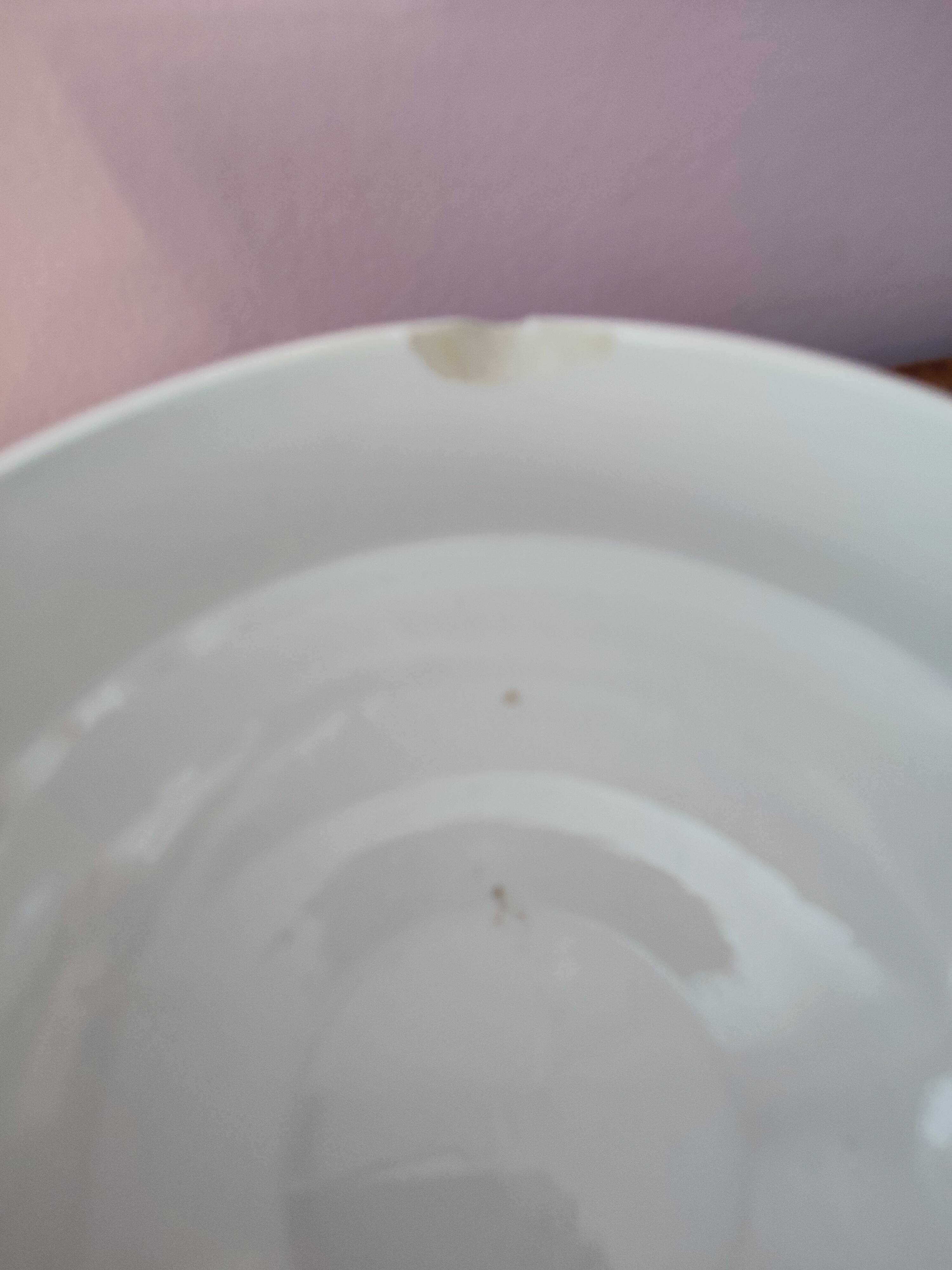 Sarreguemines earthenware soup tureen