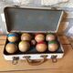 Old set of wooden balls in his suitcase