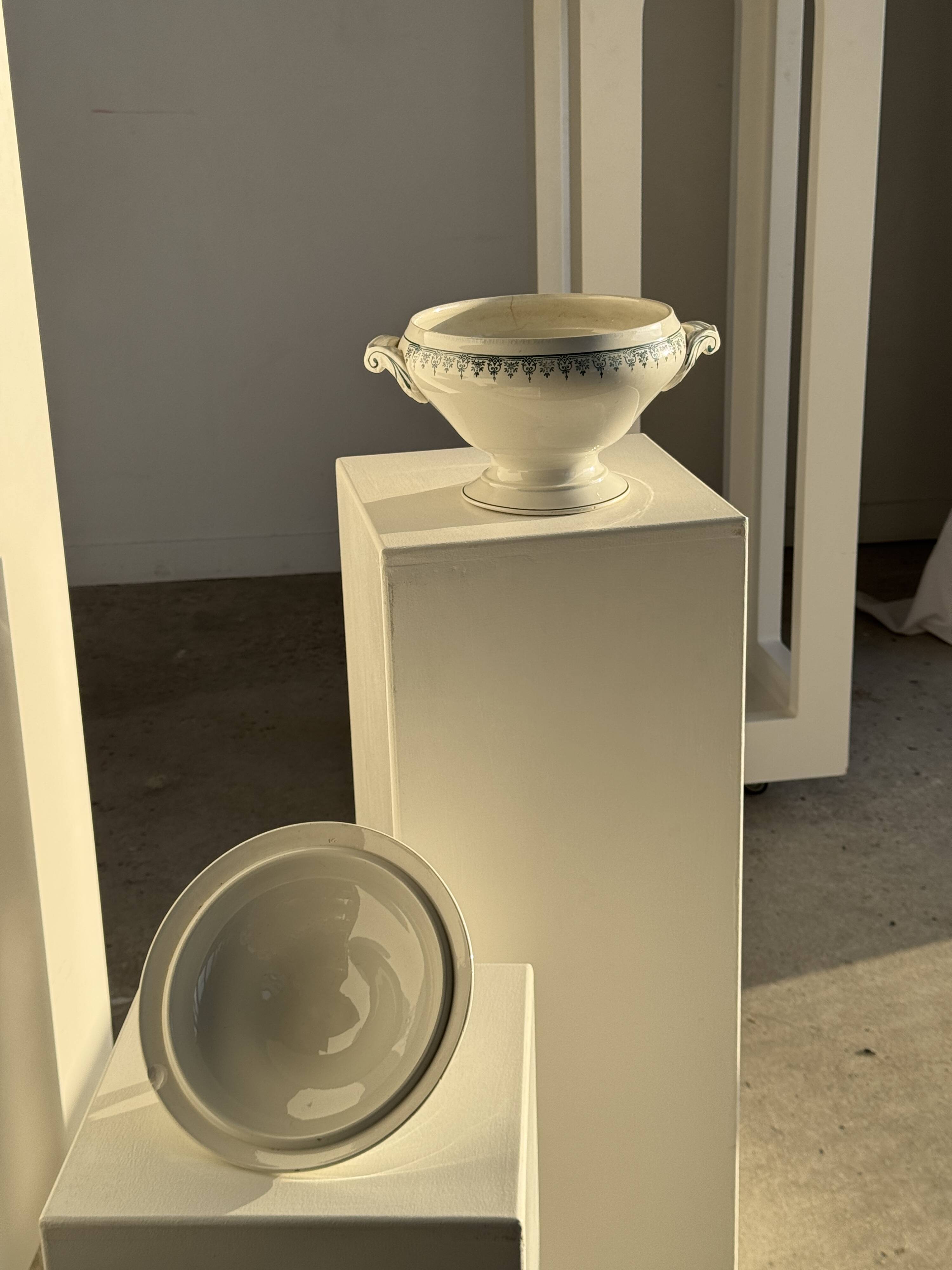 Covered soup tureen or vegetable dish in Saint Amand earthenware H29 D28