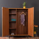 Wardrobe from the 1950s