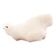 White coral, cabinet of curiosities