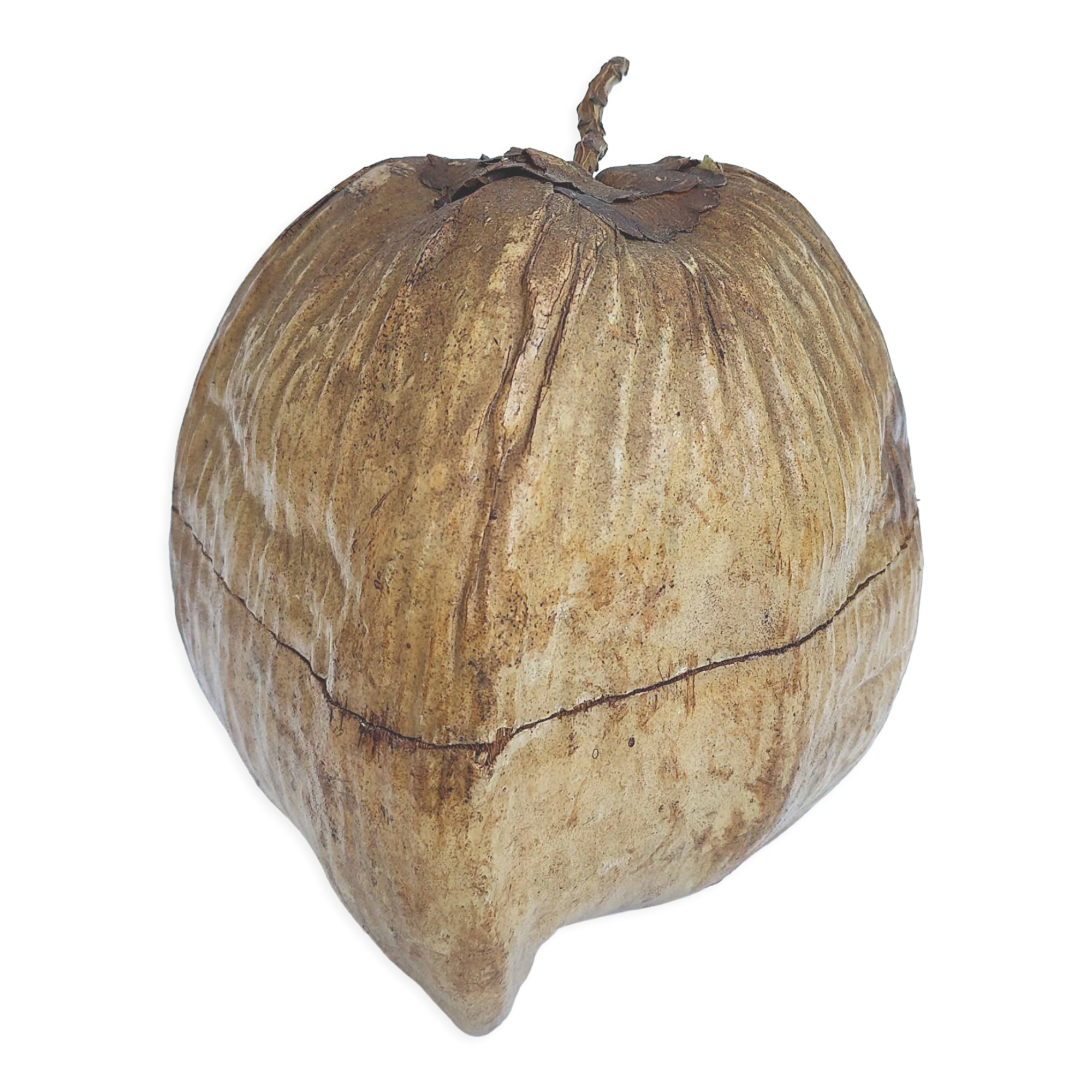 Vintage coconut ice bucket