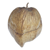 Vintage coconut ice bucket