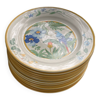 Vintage dinner plates