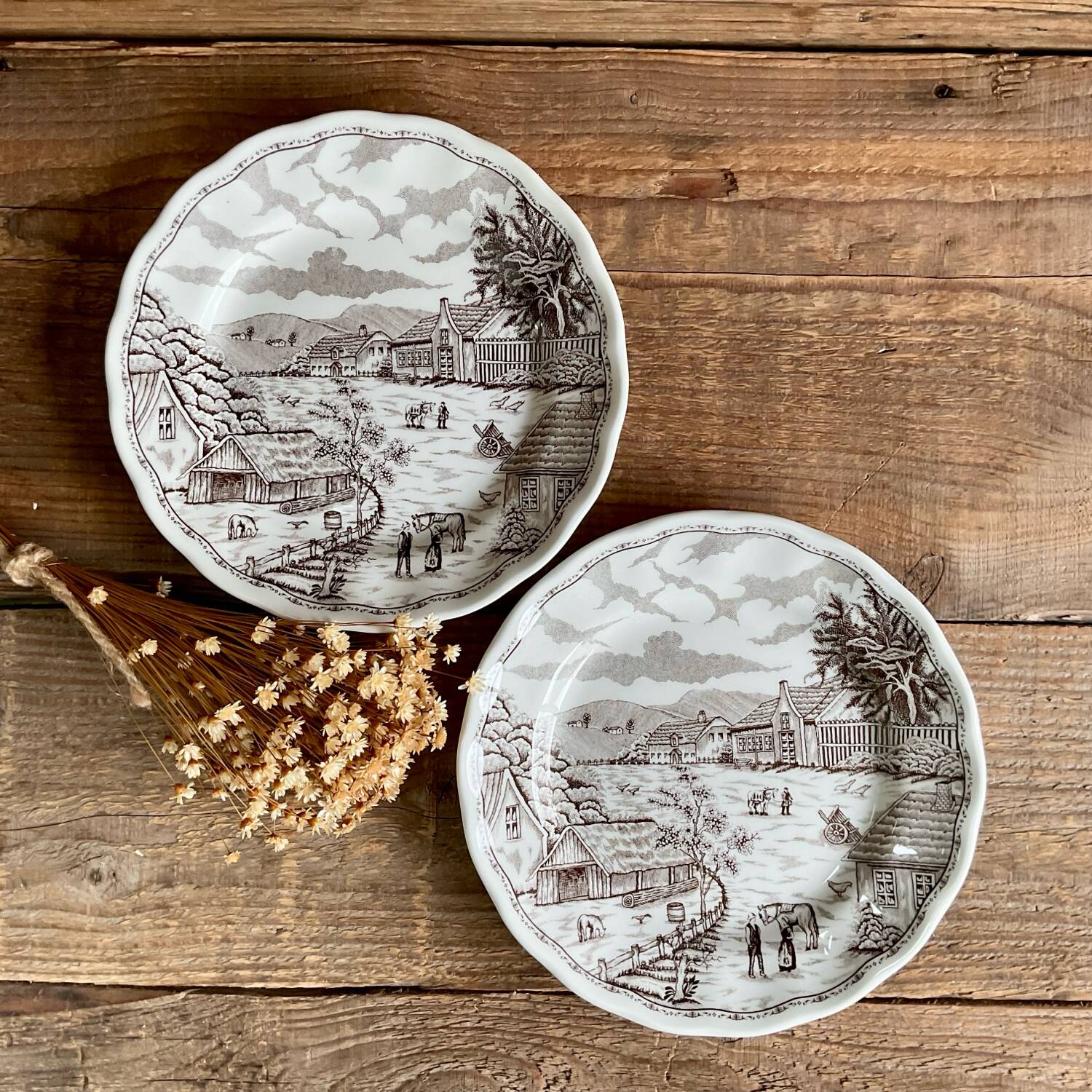 4 dessert plates N Fontabesso Italy