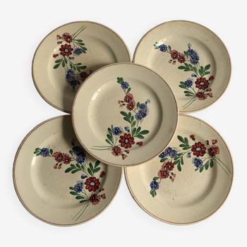 Digoin Sarreguemines plates